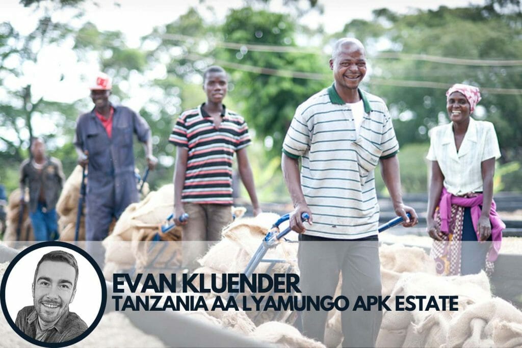 Specialty coffee producers in Tanzania