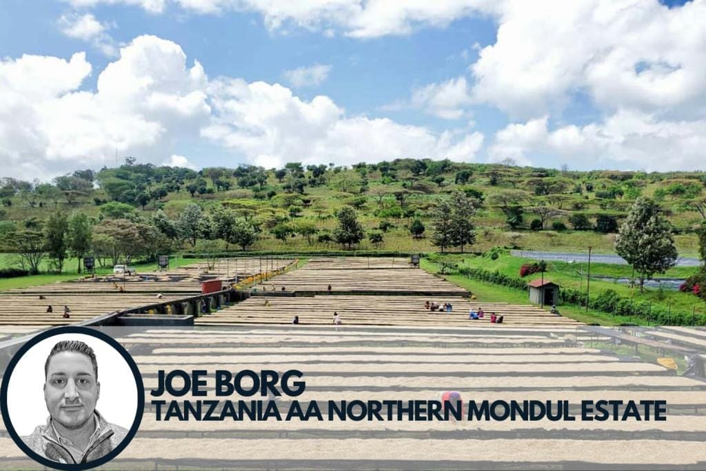 Specialty coffee drying in Tanzania