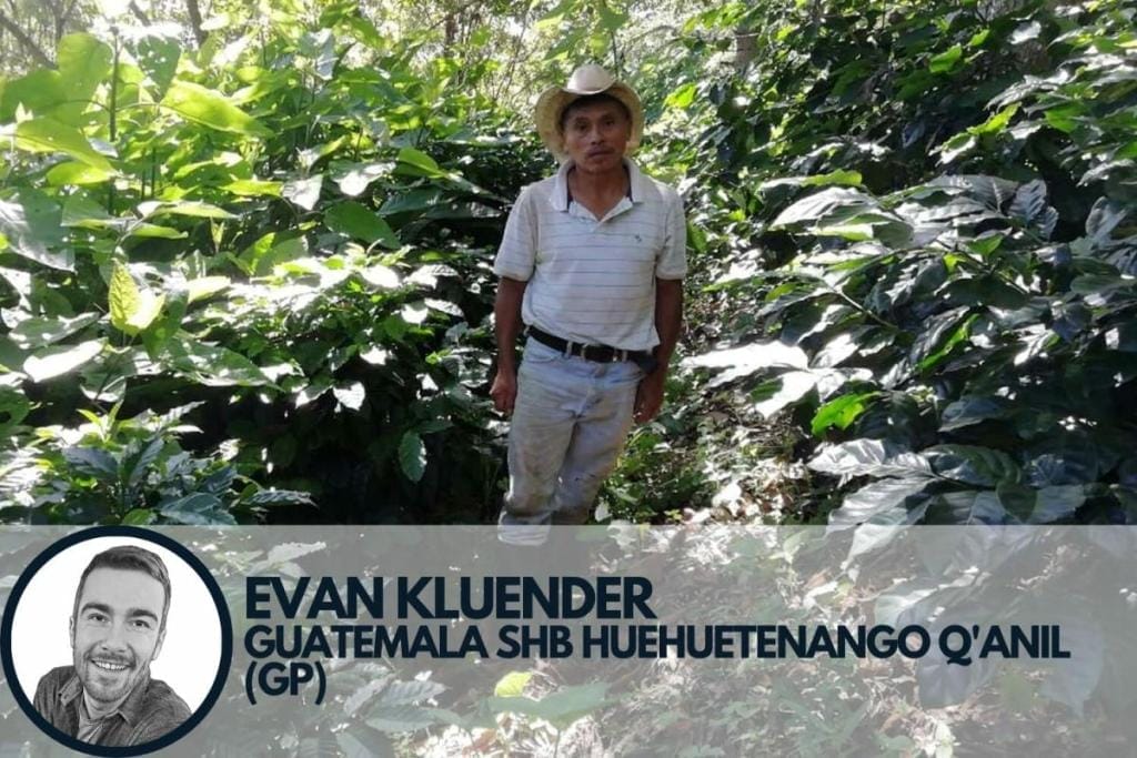 Evan Kluender trader pick specialty coffee