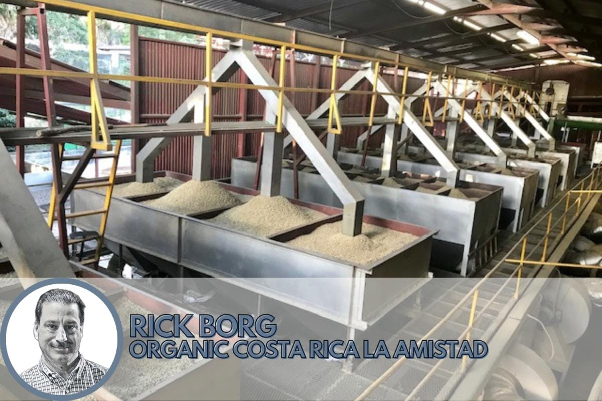 best coffee beans in central america