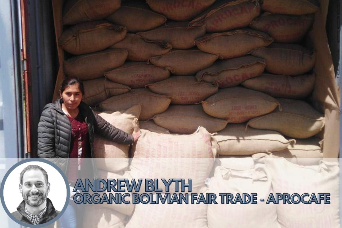 washed process coffee from bolivia