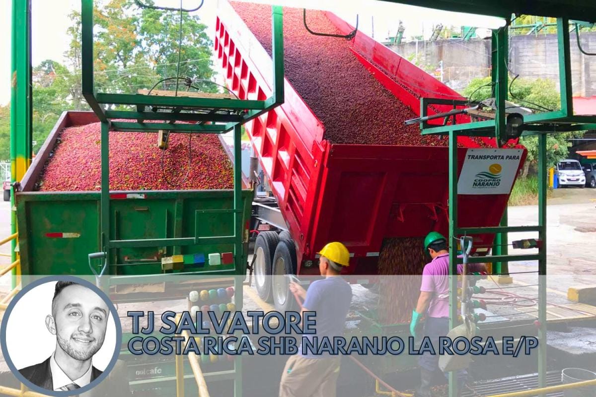 washed process coffee from costa rica