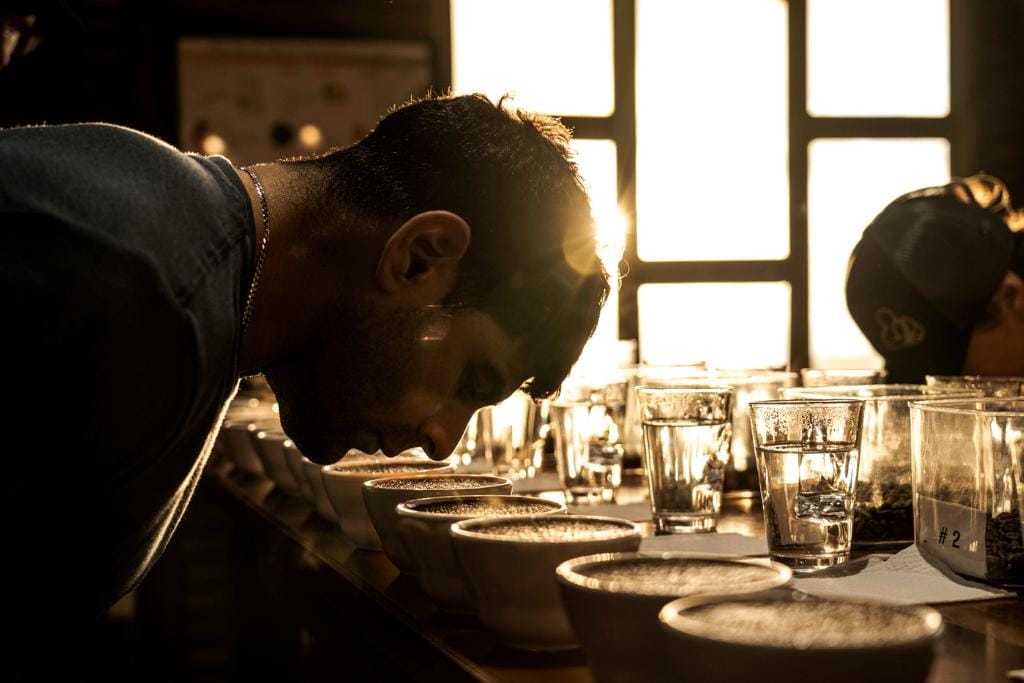 cupping coffee in costa rica