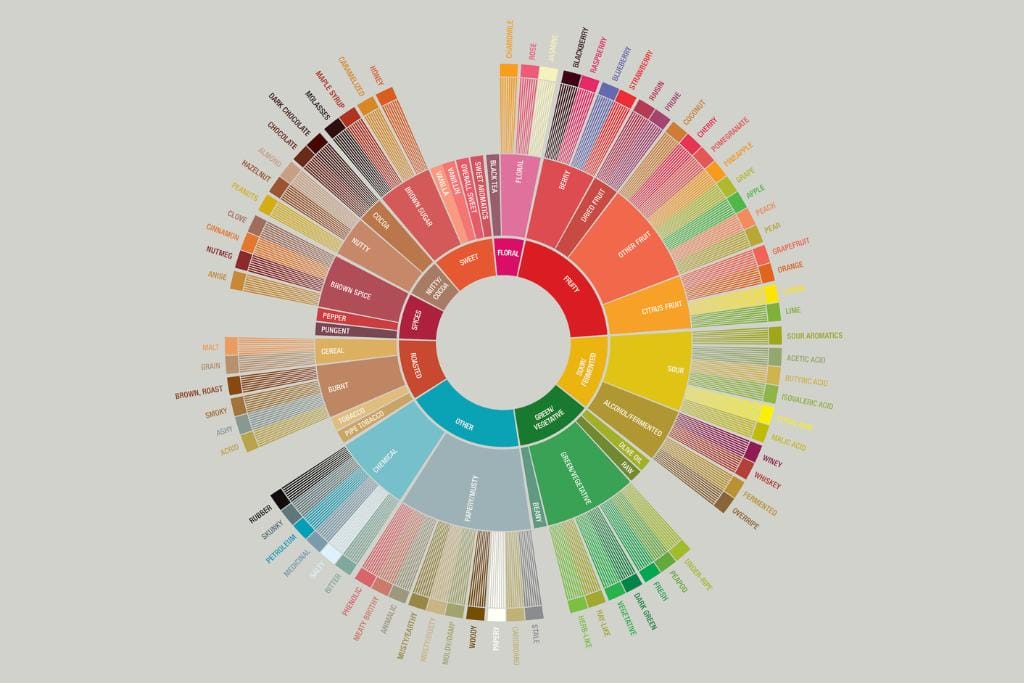 coffee flavor wheel