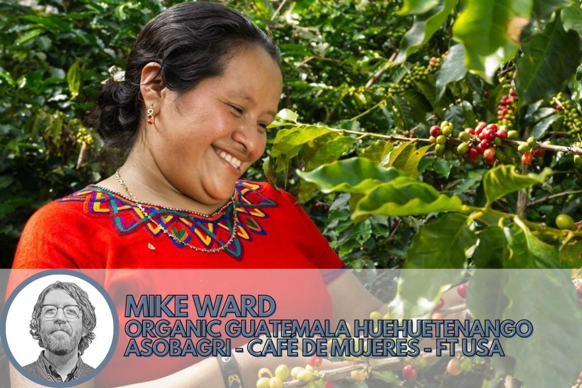 best organic coffee from guatemala