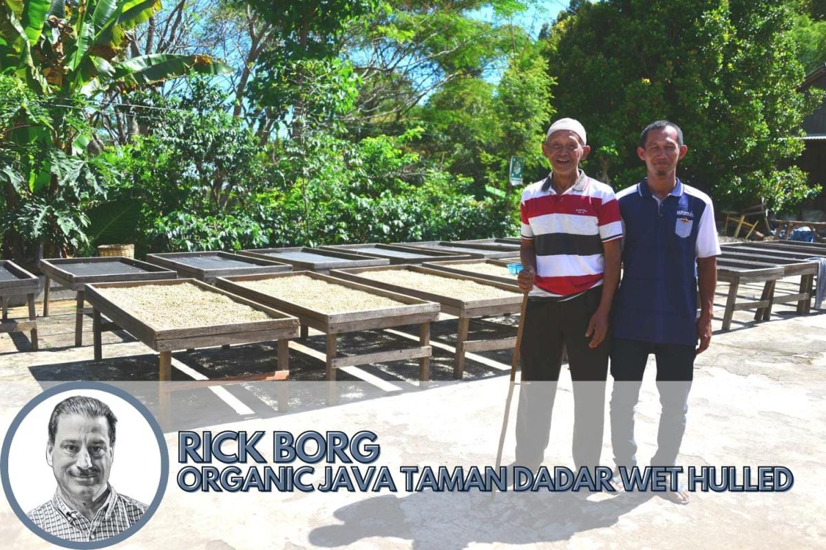 best organic coffee from java