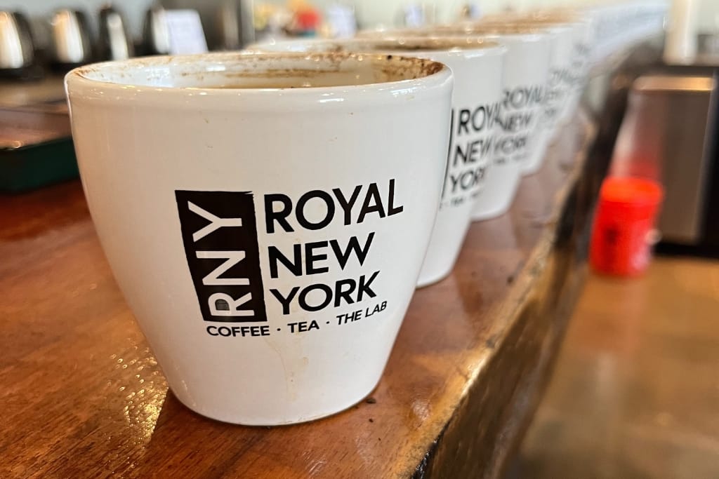 a line of cupping cups set up for a coffee tasting with the rny logo on them