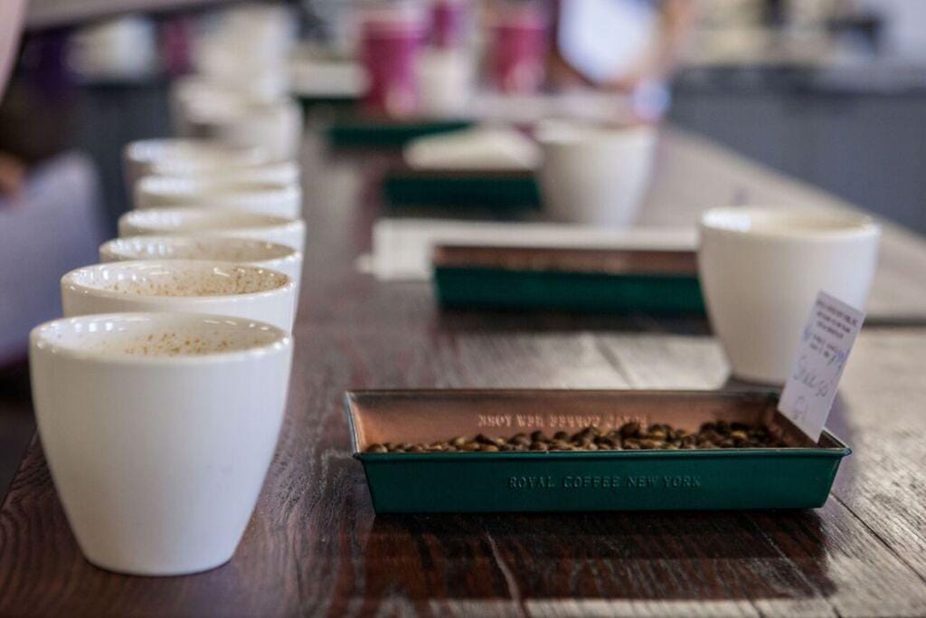 coffee cupping