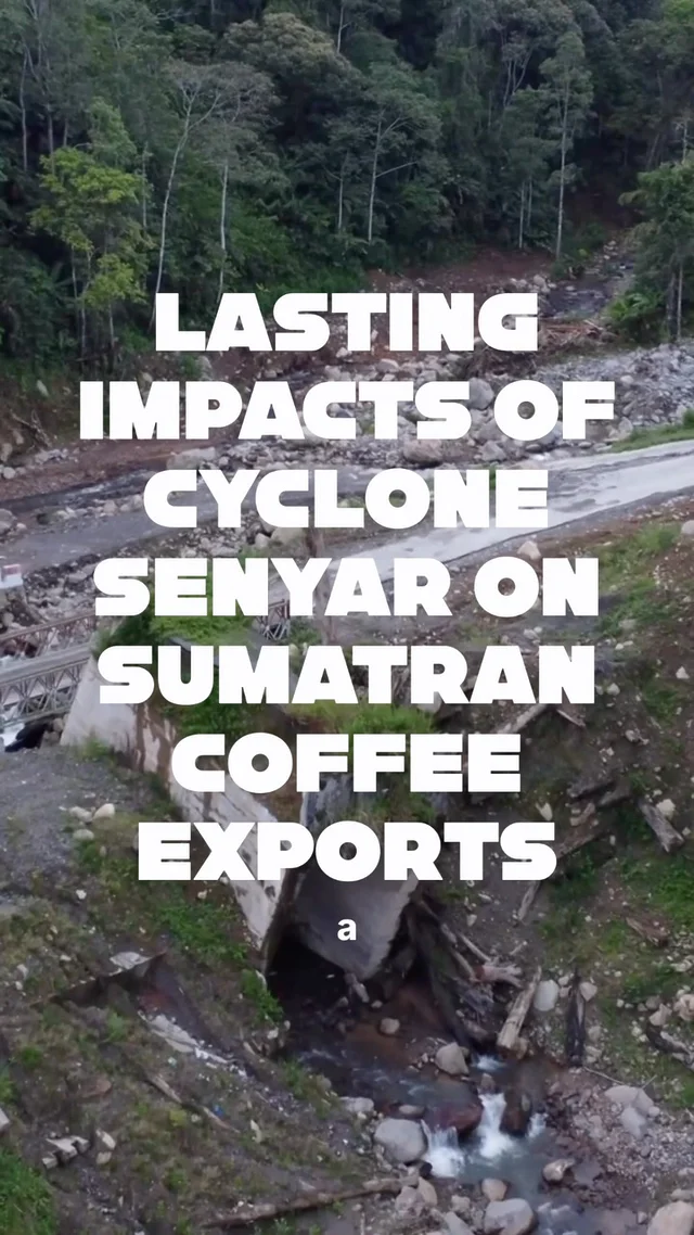 After seeing the devastation in person, it’s remarkable that Sumatran coffee continues to make its way out of the region. 🌧️☕
 
Cyclone Senyar caused significant damage across Sumatra, and the impact is still being felt along the roads connecting coffee-producing areas to port.
 
This bridge was completely wiped out by the storm has been replaced by a temporary crossing with a 12-ton load limit. A journey from Takengon to Medan that normally takes around 15 hours can now take 24 hours or more, with trucks having to make additional trips to move the same amount of coffee.
 
It’s a powerful reminder of just how much effort it takes getting coffee from origin to your cup. Link in bio to learn more.

#sumatra #sumatrancoffee #specialtycoffee #coffeeimporter #royalnewyork